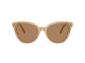 Swarovski Ochelari de Soare SK 6031 2002M4