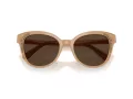 Swarovski Ochelari de Soare SK 6031 2002M4