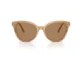 Swarovski Ochelari de Soare SK 6031 2002M4