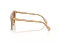 Swarovski Ochelari de Soare SK 6031 2002M4