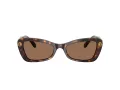 Swarovski Ochelari de Soare SK 6033 100273