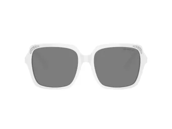 Swarovski Ochelari de Soare SK 6034D 105087