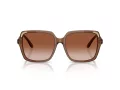 Swarovski Ochelari de Soare SK 6034D 106713