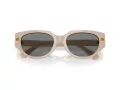 Swarovski Ochelari de Soare SK 6035D 106887