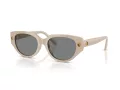 Swarovski Ochelari de Soare SK 6035D 106887