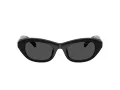 Swarovski Ochelari de Soare SK 6036U 103887