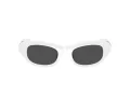 Swarovski Ochelari de Soare SK 6036U 105087