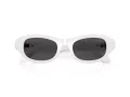 Swarovski Ochelari de Soare SK 6036U 105087