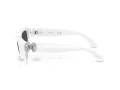 Swarovski Ochelari de Soare SK 6036U 105087