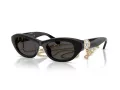 Swarovski Ochelari de Soare SK 6036U 107687