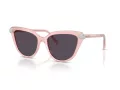 Swarovski Ochelari de Soare SK 6039 1041P5