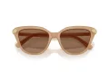 Swarovski Ochelari de Soare SK 6039 2002OK