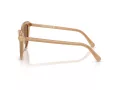 Swarovski Ochelari de Soare SK 6039 2002OK
