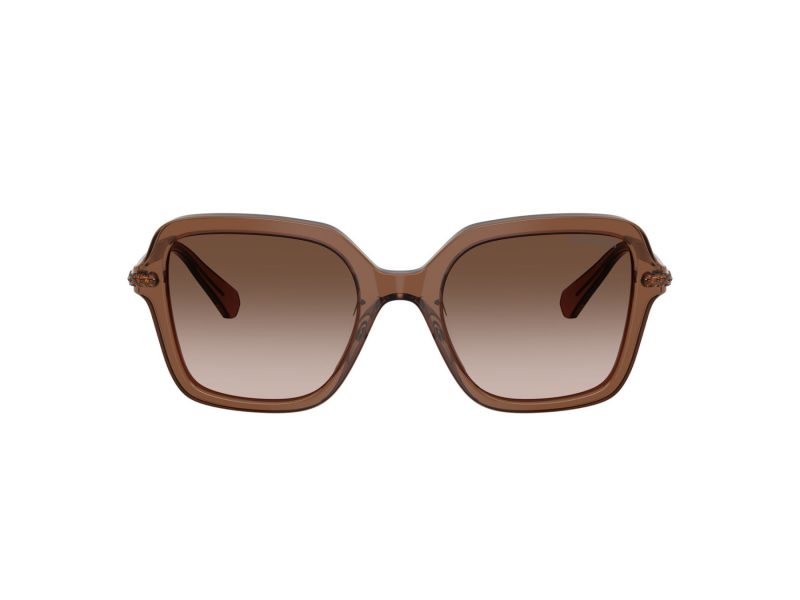 Swarovski Ochelari de Soare SK 6040 106713