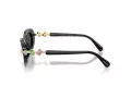 Swarovski Ochelari de Soare SK 6042 100187