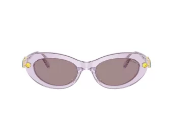 Swarovski Ochelari de Soare SK 6042 1079LA