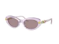 Swarovski Ochelari de Soare SK 6042 1079LA
