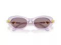 Swarovski Ochelari de Soare SK 6042 1079LA