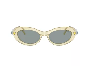 Swarovski Ochelari de Soare SK 6042 1080/1