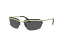 Swarovski Ochelari de Soare SK 7001 400487