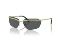 Swarovski Ochelari de Soare SK 7001 400487