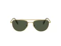 Swarovski Ochelari de Soare SK 7007 401782
