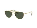 Swarovski Ochelari de Soare SK 7007 401782