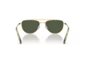 Swarovski Ochelari de Soare SK 7007 401782