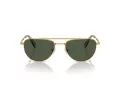 Swarovski Ochelari de Soare SK 7007 401782