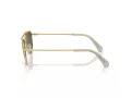 Swarovski Ochelari de Soare SK 7007 401782