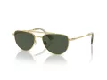 Swarovski Ochelari de Soare SK 7007 401782