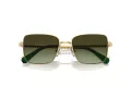 Swarovski Ochelari de Soare SK 7015 4004E8 56