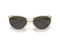 Swarovski Ochelari de Soare SK 7017 400487 58