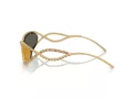 Swarovski Ochelari de Soare SK 7024 40047P