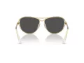 Swarovski Ochelari de Soare SK 7028 400487