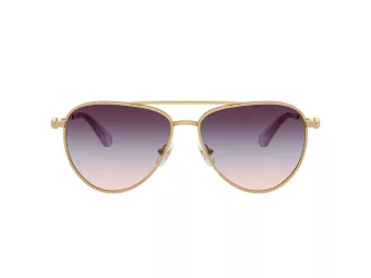 Swarovski Ochelari de Soare SK 7031 4036U7
