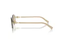 Tiffany Ochelari de Soare TF 3104D 617811 56