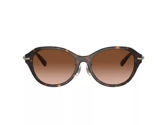 Tiffany Ochelari de Soare TF 4210D 80153B