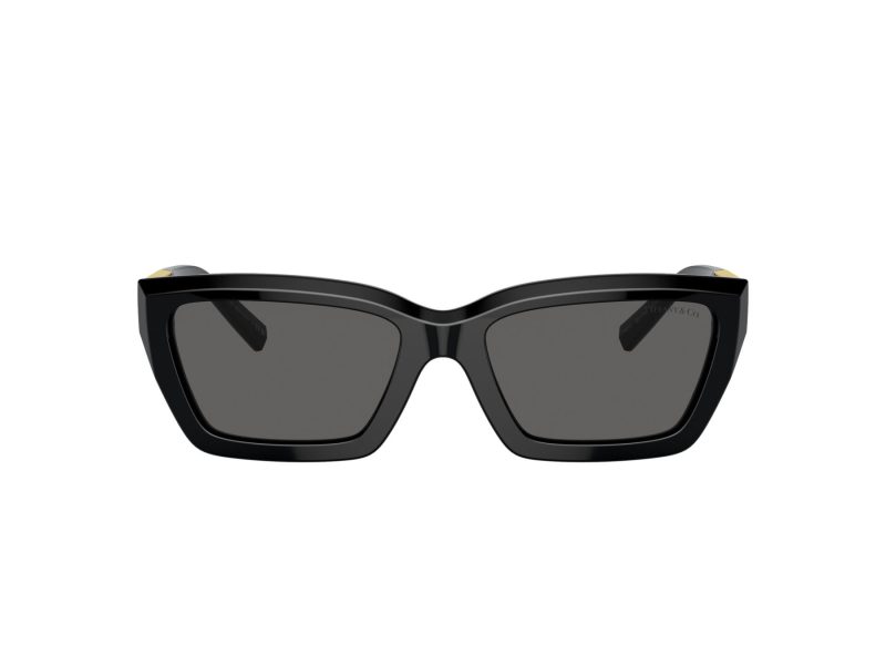 Tiffany Ochelari de Soare TF 4213 8001S4