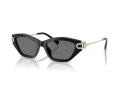 Tiffany Ochelari de Soare TF 4231U 800181 53