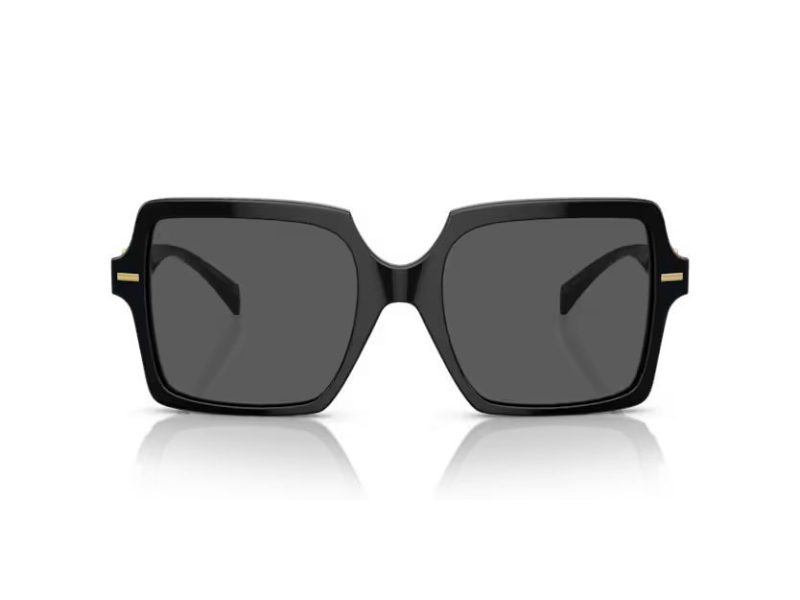 Versace Ochelari de Soare VE 0VE4441 GB1/87