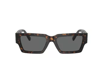 Versace Ochelari de Soare VE 4459 108/87 54