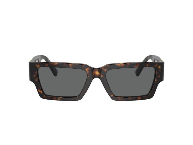 Versace Ochelari de Soare VE 4459 108/87