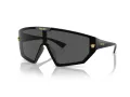 Versace Ochelari de Soare VE 4461 GB1/87 147
