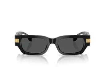 Versace Ochelari de Soare VE 4465 GB1/87 53