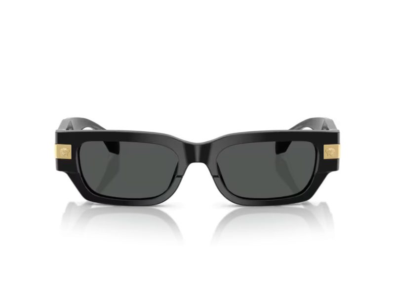 Versace Ochelari de Soare VE 4465 GB1/87