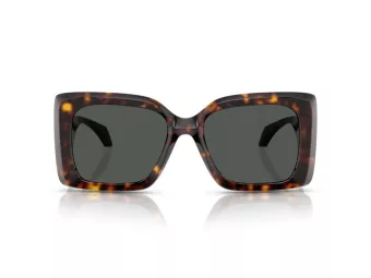 Versace Ochelari de Soare VE 4467U 108/87 54