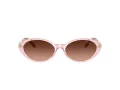 Versace Ochelari de Soare VE 4469 54725M 54