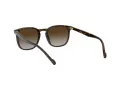 Vogue Ochelari de Soare VO 5328S W65613 49