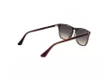 Web Ochelari de Soare WE 0363 56B 55